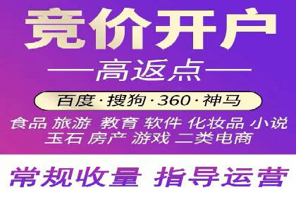 百度竞价赚钱攻略：实战案例分享